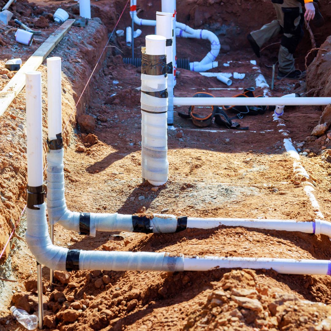 صورة من نحن