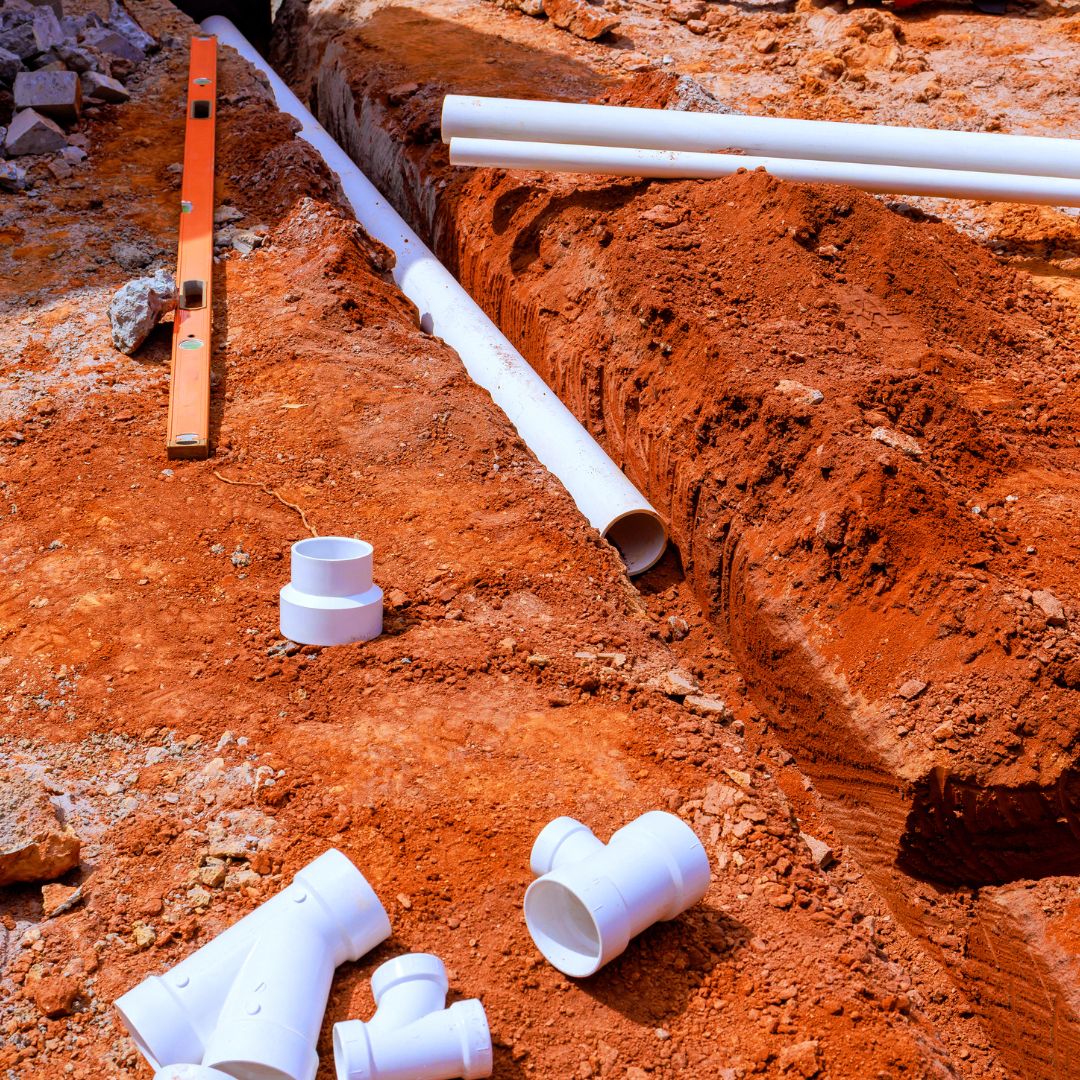 صورة من نحن